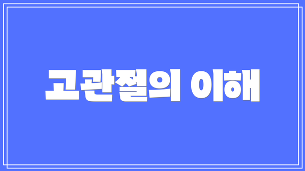 고관절의 이해