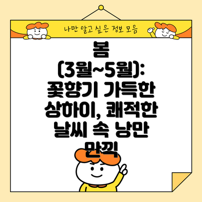 봄 (3월~5월): 꽃향기 가득한 상하이, 쾌적한 날씨 속 낭만 만끽