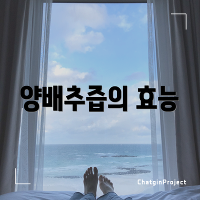 양배추즙의 효능