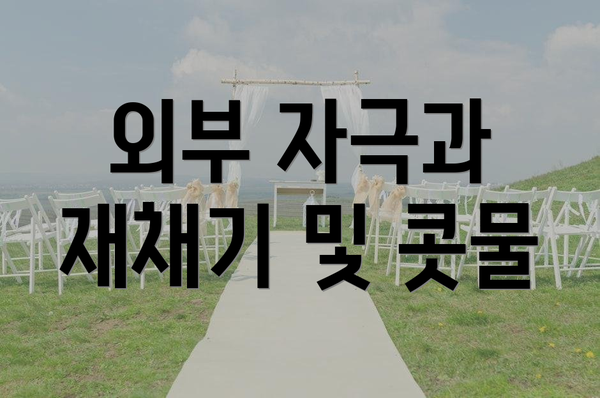 외부 자극과 재채기 및 콧물