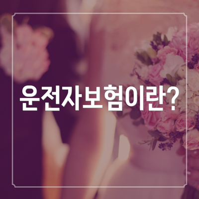 운전자보험이란?