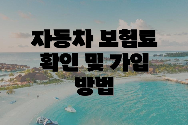 자동차 보험료 확인 및 가입 방법