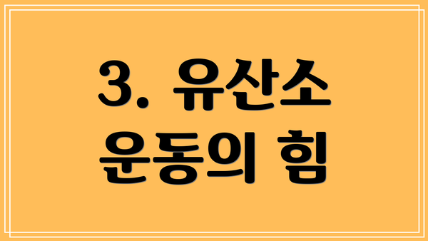 3. 유산소 운동의 힘