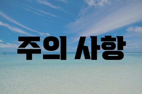 주의 사항