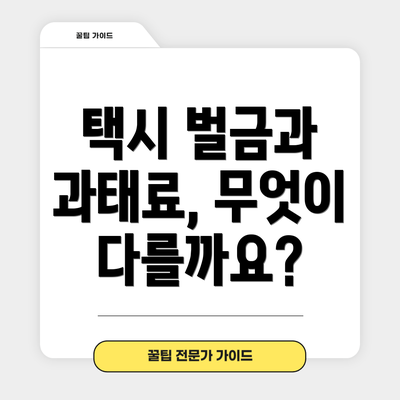 택시 벌금과 과태료, 무엇이 다를까요?