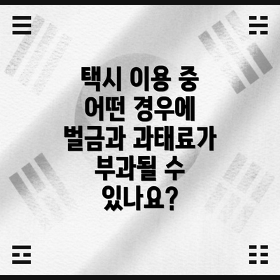 택시 이용 중 어떤 경우에 벌금과 과태료가 부과될 수 있나요?