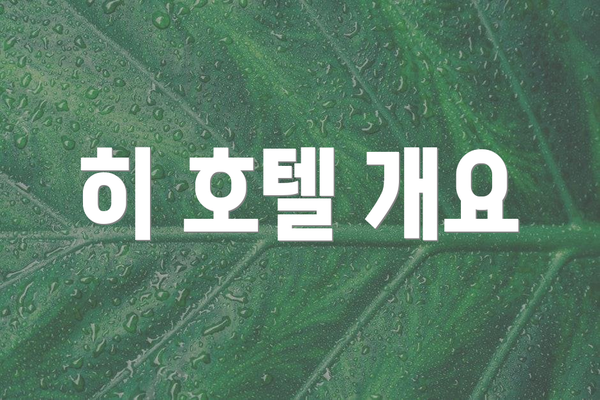 히 호텔 개요
