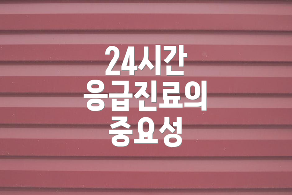 24시간 응급진료의 중요성