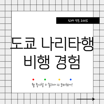 도쿄 나리타행 비행 경험