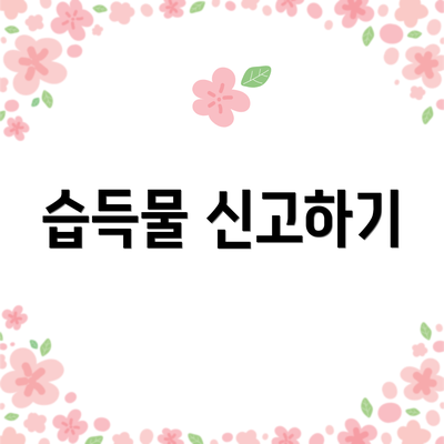 습득물 신고하기